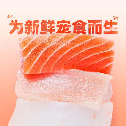 鲜朗  全价主食罐混合装100g*6罐 商品图1