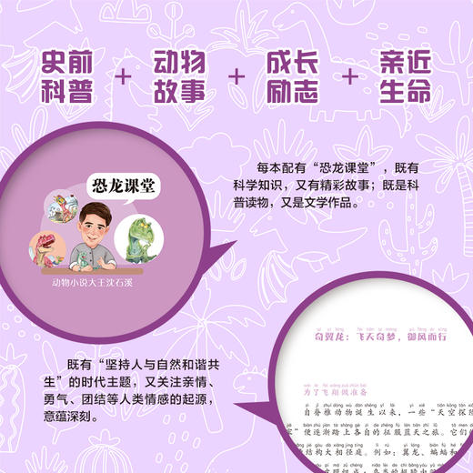 飞天奇翼龙 沈石溪 李花三吉/著  安徽少年儿童出版社 商品图3