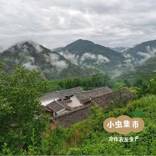 【2025年新收】生态纸皮干核桃 2斤/5斤/8斤 | 合作农友生产，产自云南永仁，生产者：康丽 *【公平贸易农人定价】 商品图12