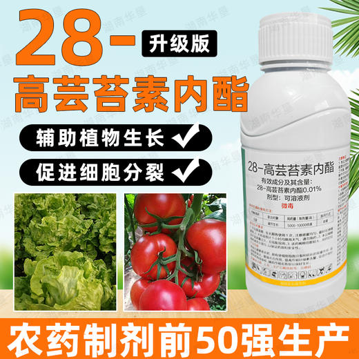 28-高芸苔素内酯小麦白菜植物生长调节剂叶面肥调节生长生根壮苗 商品图0