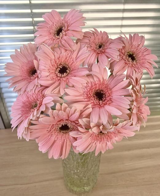 新鲜鲜花 非洲菊鲜切花 粉色/金色1把（可备注送货时间） 商品图1