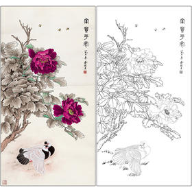 俞致贞花鸟工笔画白描底稿《富贵平安》牡丹双鸽临摹勾线高清打印稿ZZ05