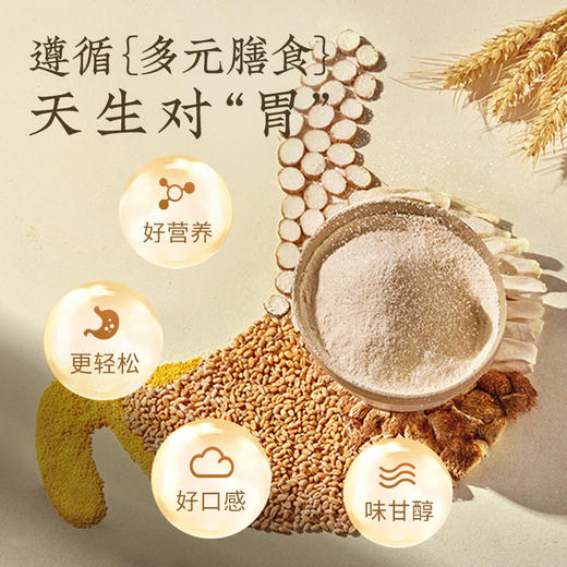 新良多谷物面粉红豆薏仁小米山药猴头菇荞麦茯苓山药面粉.1kg 商品图12