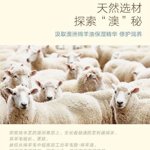 赫拉绵羊油倍润手霜50g/支 商品图3