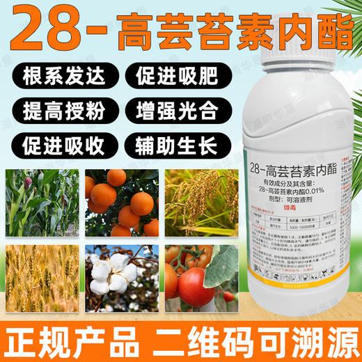 28-高芸苔素内酯小麦白菜植物生长调节剂叶面肥调节生长生根壮苗 商品图4