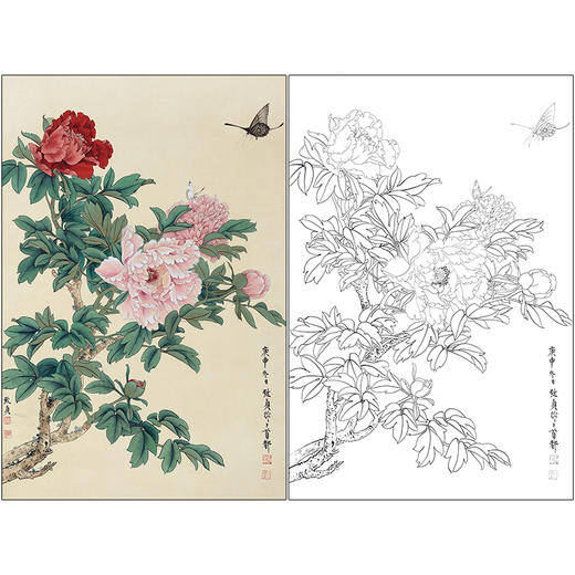 俞致贞花鸟工笔画白描底稿《富贵吉祥》牡丹临摹勾线高清打印稿ZZ14 商品图0