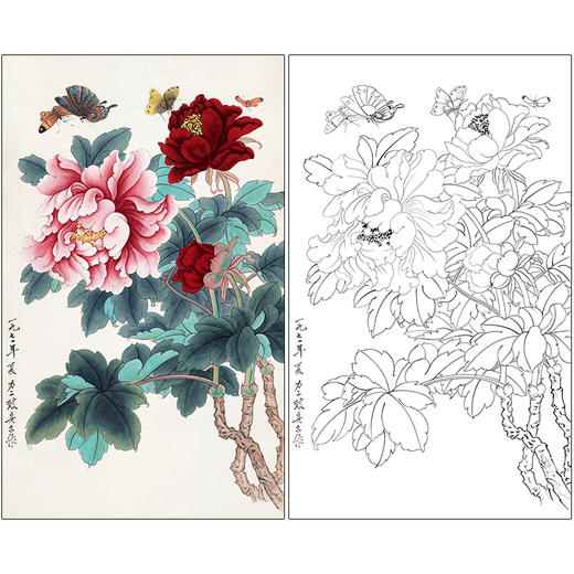 俞致贞花鸟工笔画白描底稿《牡丹蝴蝶》临摹勾线高清打印稿ZZ08 商品图0