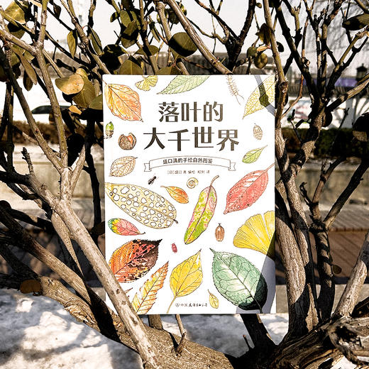  童书妈妈X浪花朵朵专场  盛口满的手绘自然图鉴 7册套装 商品图2