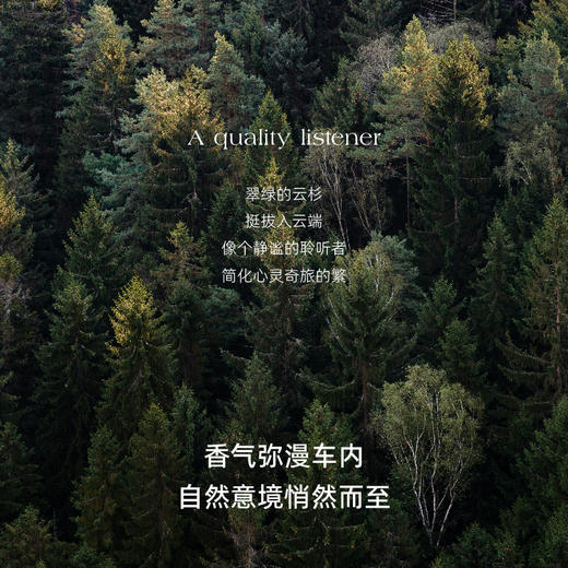 车载香薰 | 云漫系列 云杉车载香薰扩香器 汽车用品 商品图2