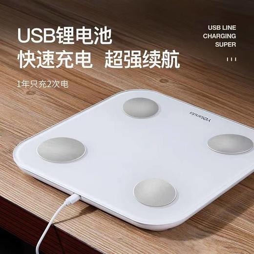 云康宝 智能体脂称 HUAWEI HiLink生态产品 人体成分分析家用秤 CS20H【充电款】 商品图7
