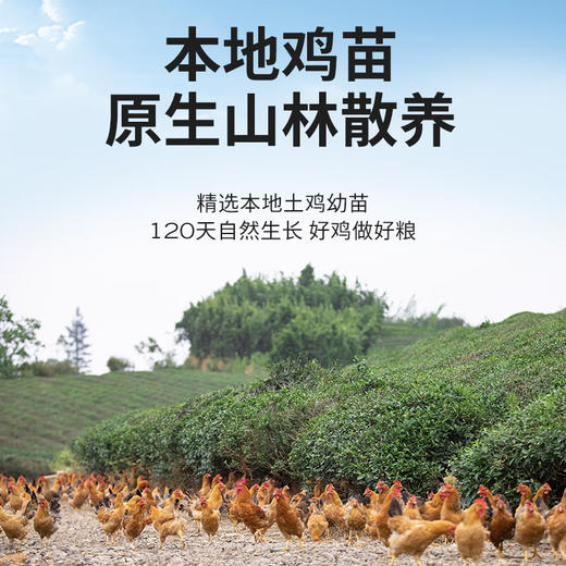 高爷家  鲜肉山林鸡款猫粮1.5kg 商品图2