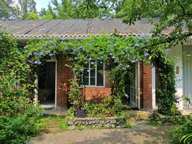 【彭州·392号院】4房小院，丹景山下田园风院子，柴火灶，近葛仙山qhxy