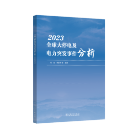 全球大停电及电力突发事件分析.2023年