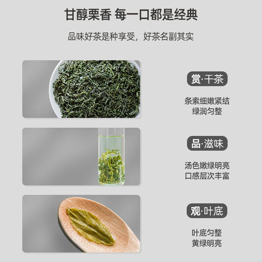 东裕茗茶特级炒青250克三角袋装  醇厚耐泡 甘醇栗香 商品图3