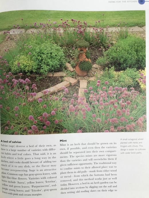 终极草药书 数百幅彩色插图 精装大16开 商品图14