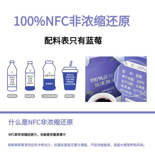 黔隆惠NFC蓝莓原汁 商品图4