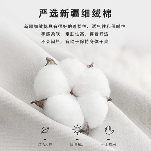 棉小伙【糯米版、经典版棉裤】【九九姜芯片】天然棉花保暖裤  男女款可选 高腰护腰 可机洗可外穿  不臃肿   柔软舒适 商品图3