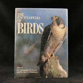 鸟类百科全书 700幅彩色插图 精装16开