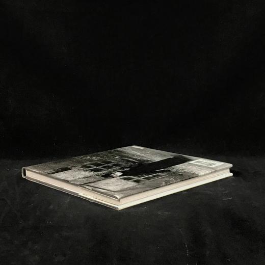 给他们光：维希尼克摄影图集 160幅插图 精装16开 商品图2