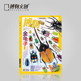 博物杂志 2024年10月刊   金龟子 精美大拉页 博物大学 青少年科普杂志