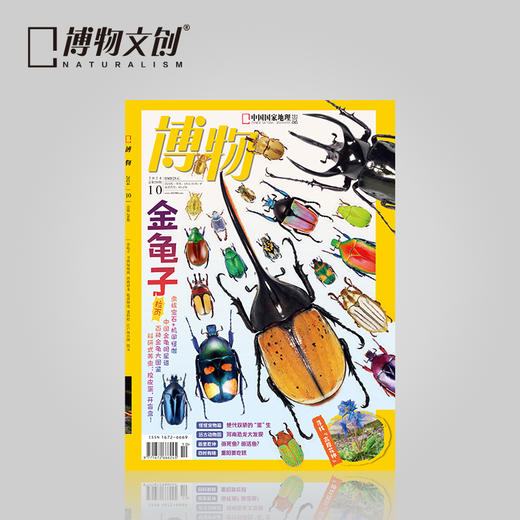 博物杂志 2024年10月刊   金龟子 精美大拉页 博物大学 青少年科普杂志 商品图0