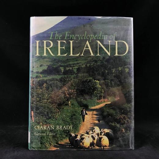 爱尔兰百科全书 数百幅插图 精装16开 商品图0