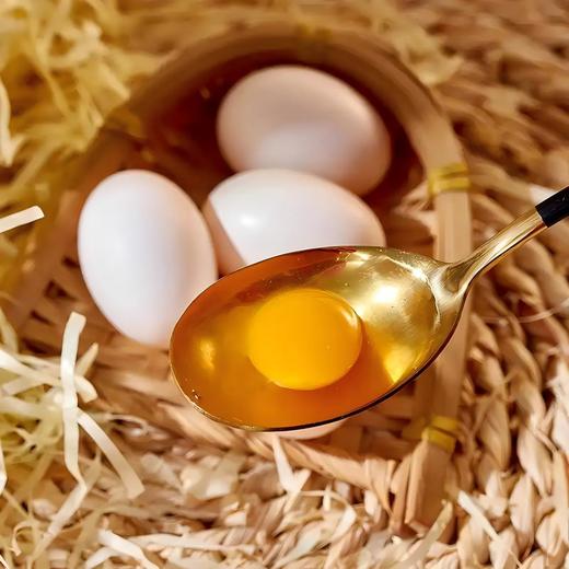 【员工专享】桂柳~鸽子蛋 商品图3