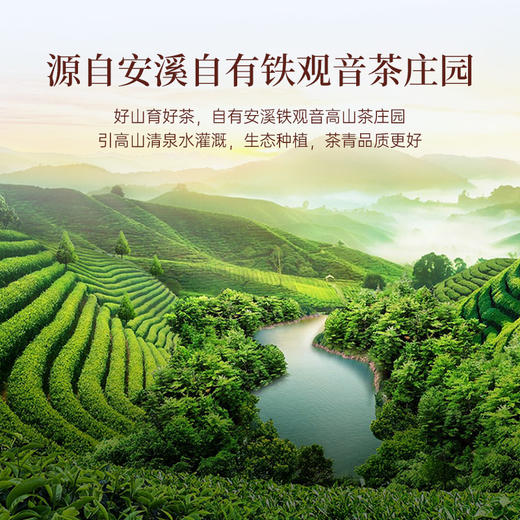 华祥苑-78g庄园直供茶清香铁观音 商品图1
