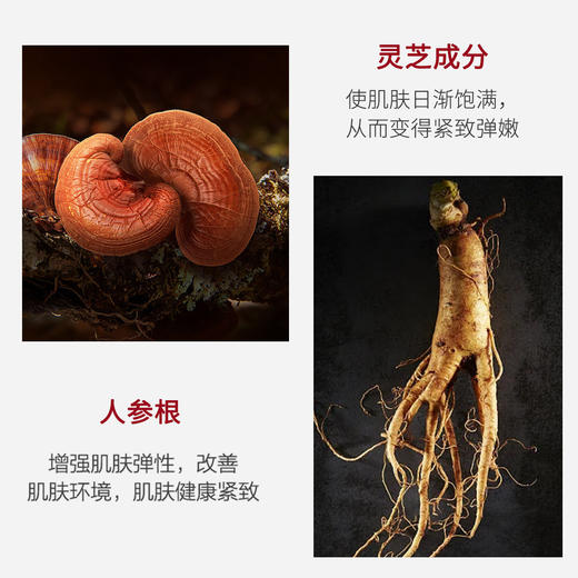 淡纹眼霜 」片仔癀牌灵芝臻颜 商品图1