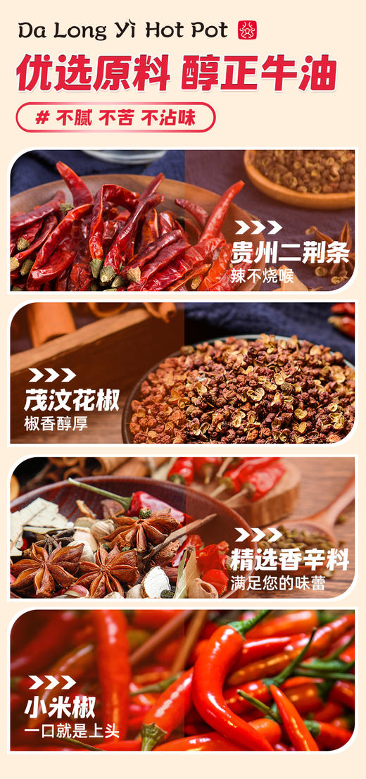 大龙燚多用途小方块火锅底料50g*10 商品图11