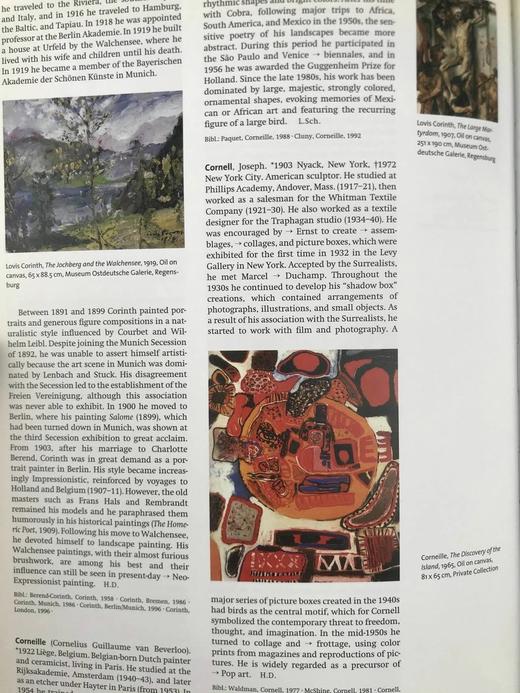 二十世纪艺术与艺术家辞典 501幅彩色插图 精装16开 商品图7