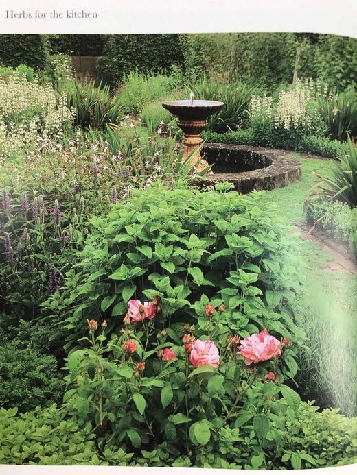 终极草药书 数百幅彩色插图 精装大16开 商品图13