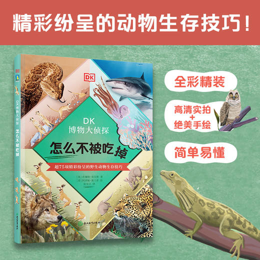 DK博物大侦探全3册 商品图6