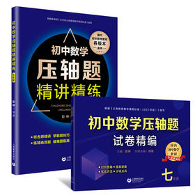 初中数学压轴题试卷精编+初中数学压轴题精讲精练