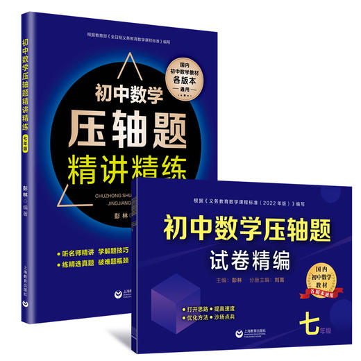 初中数学压轴题试卷精编+初中数学压轴题精讲精练 商品图0