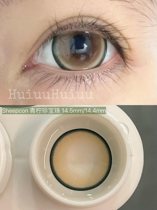 【店主实拍】Sheepcon-珍宝珠系列-14.5mm【年抛 0-1000度 含有525/575】 商品图9