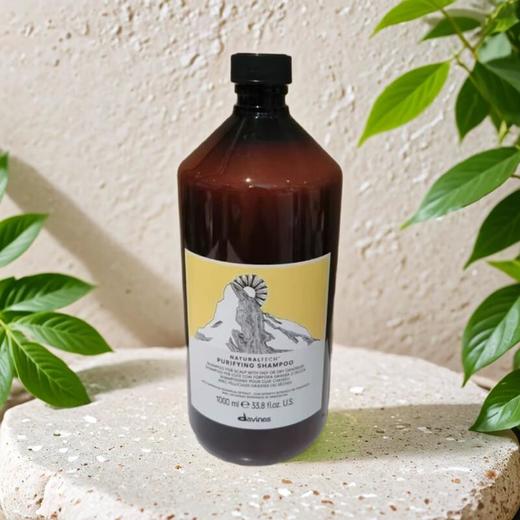 大卫尼斯自然去屑洗发乳 1000ml/瓶 商品图0