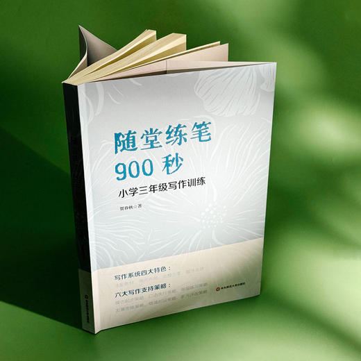 随堂练笔900秒 小学三年级写作训练 贺春秋 作文教学 语文训练 商品图3