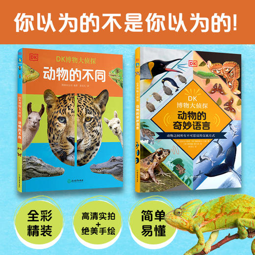 DK博物大侦探全3册 商品图2