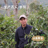 野放乔木红茶 100g/罐（2025年4月份采摘加工） | 合作农友生产，来自云南西双版纳，生产者：单伟＆【公平贸易农人定价】 商品缩略图3