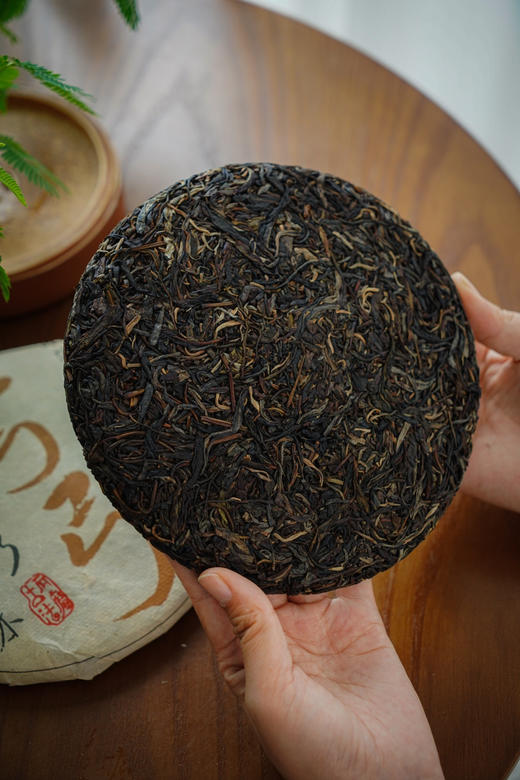 【2007弯弓】 易武弯弓森林高杆头春！挑采！绕舌柔！ 商品图3