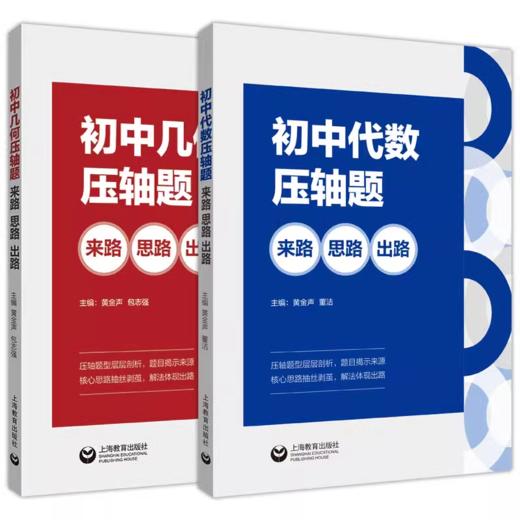 初中代数压轴题：来路、思路、出路+初中几何压轴题：来路、思路、出路 商品图2