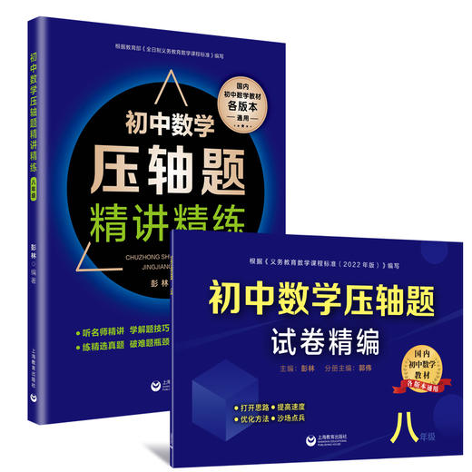 初中数学压轴题试卷精编+初中数学压轴题精讲精练 商品图1