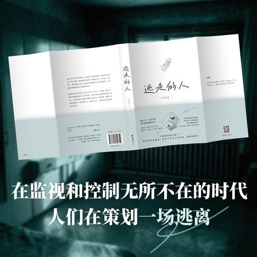 逃走的人（不上班 不社交 低消费 追踪三年深入书写鹤岗买房的逃离者） 李颖迪 著 商品图2
