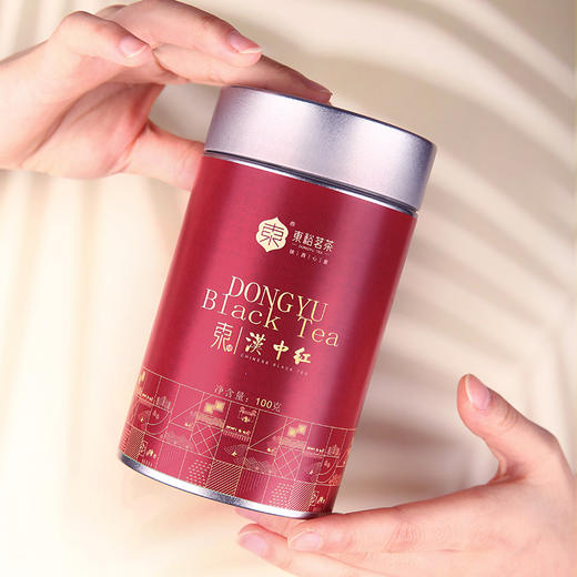 东裕茗茶红茶100克罐装  香气馥郁 花果蜜香 商品图0