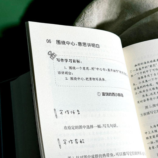 随堂练笔900秒 小学三年级写作训练 贺春秋 作文教学 语文训练 商品图10