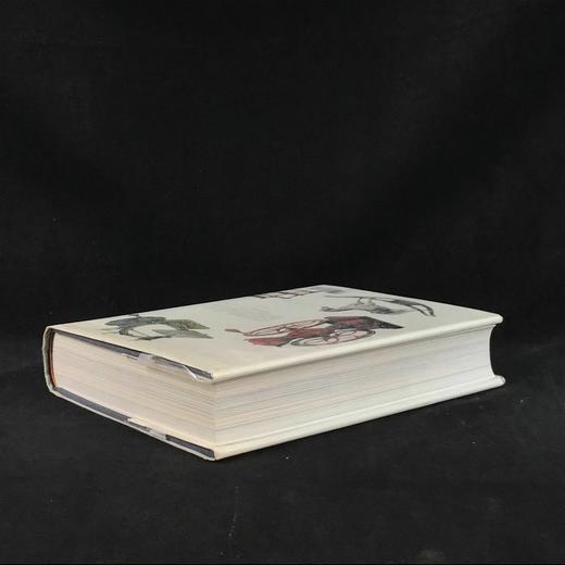 美国设计与古董图集 2900幅插图 精装大16开 商品图2