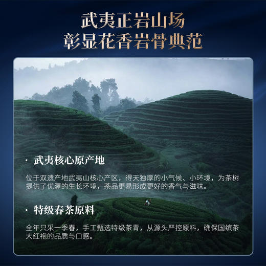 华祥苑-83g五星国缤小蓝罐大红袍10罐装 商品图3