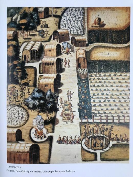 美国南部艺术与文学宝库 122幅彩色与大量黑白插图 精装大16开 商品图6