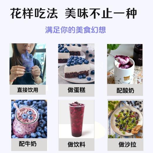 黔隆惠NFC蓝莓原汁 商品图5